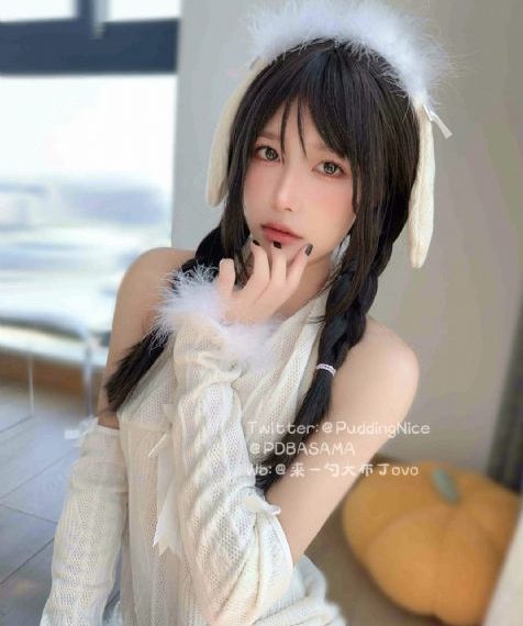 51免费观看成人_DVD免费全集观看