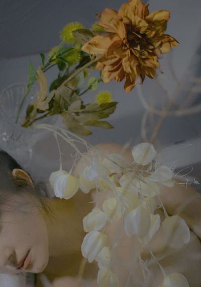 野花香免费理论影视8_国产剧影视在线观看
